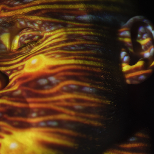 giantess胸产牛奶
